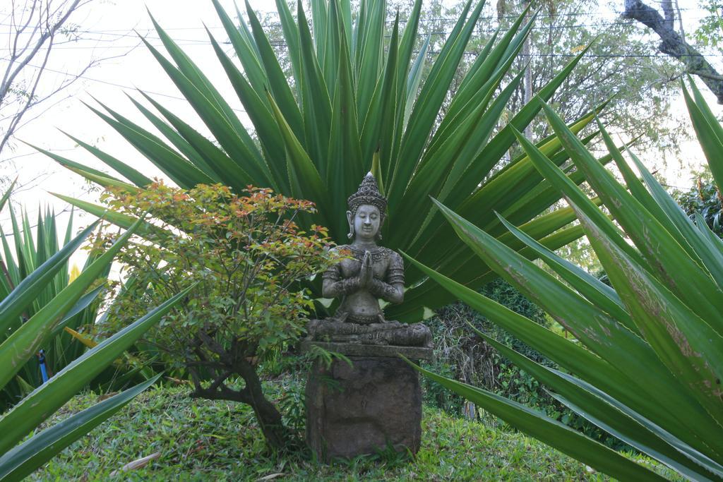Khao Yai Garden Lodge Pakcsong Kültér fotó
